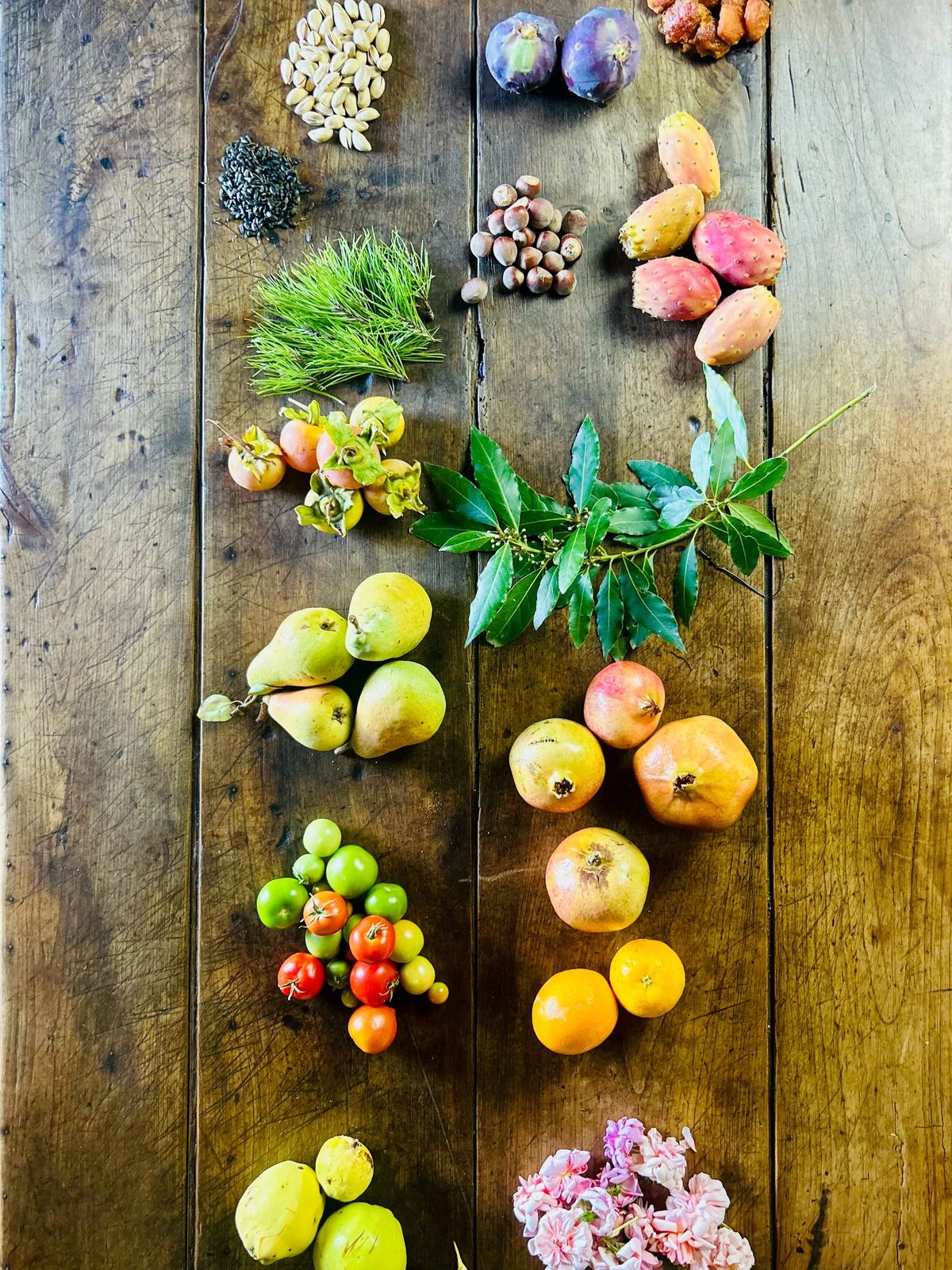 the season's harvest laid out on an old wooden table: pears, pomegranates, prickly pears, tomatoes, oranges, pine and wild herbs